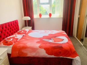 Stunning double bedroom house closer to the sea